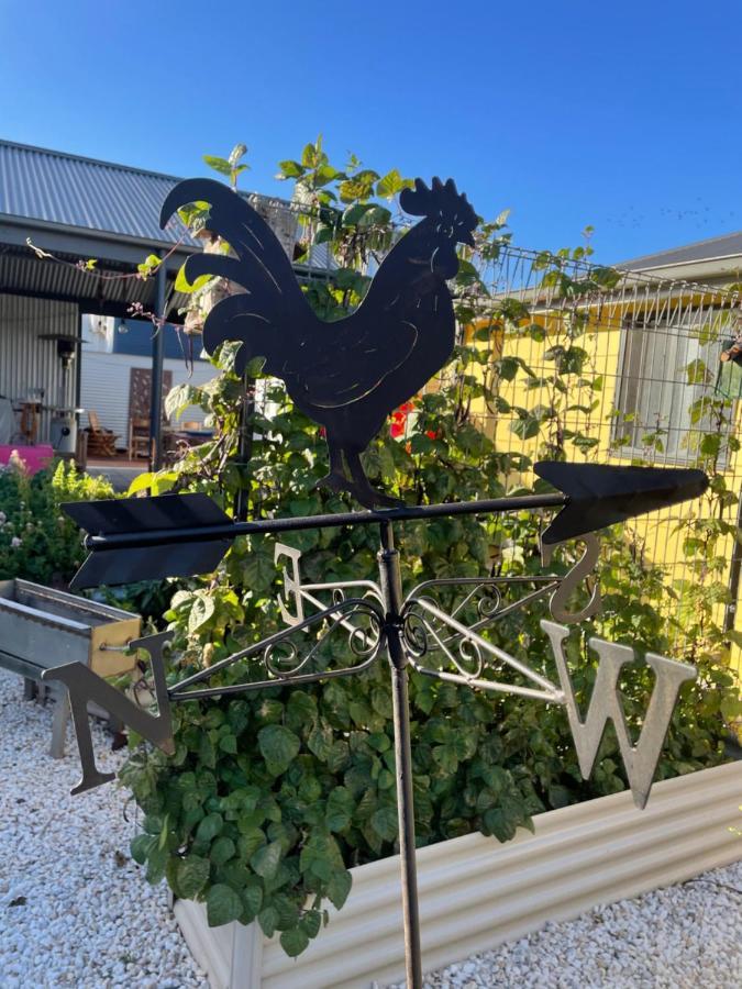 Ki Dragonfly Guesthouse Kingscote Exteriör bild