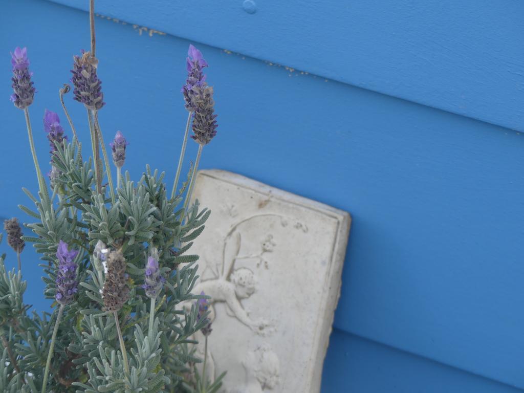 Ki Dragonfly Guesthouse Kingscote Exteriör bild